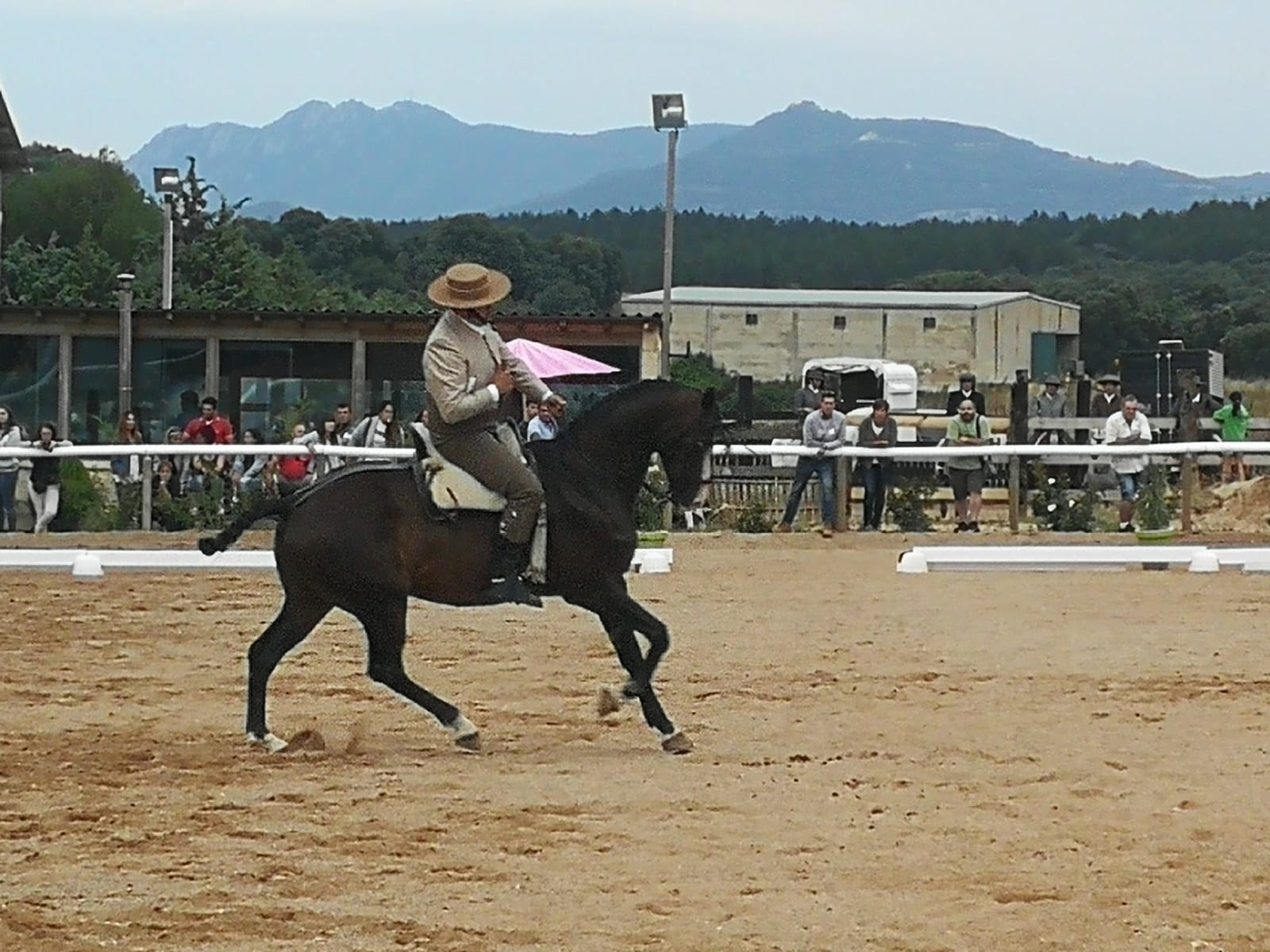 Final del Campeonato Navarro de Doma Vaquera 2018 en Acedo